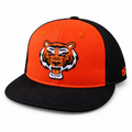 Fierce Tiger
